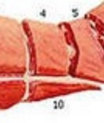 Европа Авто