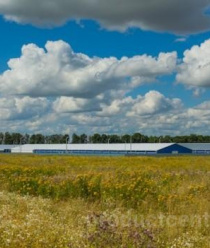 Воловский бройлер