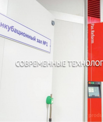 Воловский бройлер