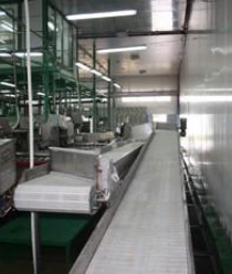 Два капитана