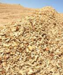 Томлесдрев