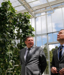 Матвеевское