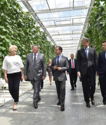 Матвеевское