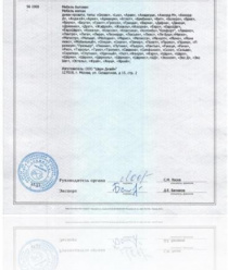 Шарм-Дизайн