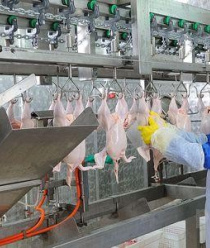 Мясное подворье