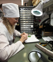 НИИИС имени А.Н. Лодыгина