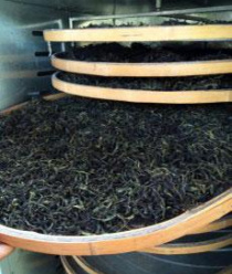 Вологодский Иван-чай