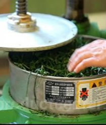 Вологодский Иван-чай