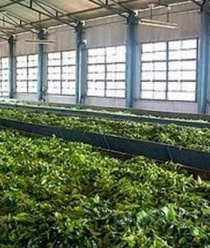 Российские Традиции