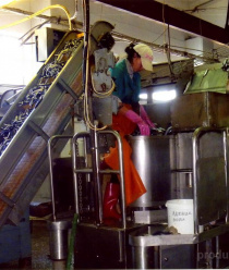 Рыбозавод Большекаменский