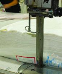 Осьминожка