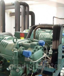 Сибирский Холод