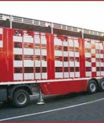 Чулковский Мясоперерабатывающий Комбинат