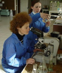 Каменская бумажно-картонная фабрика (КБКФ)