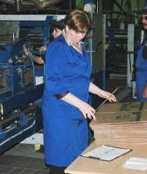 Каменская бумажно-картонная фабрика (КБКФ)