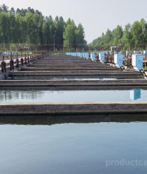 Волгореченское рыбное хозяйство