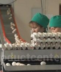 Башкирский Бройлер