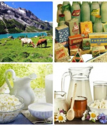 Первомайский пищекомбинат