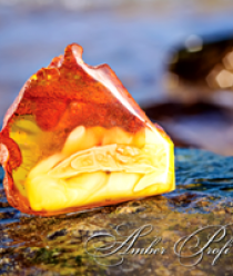 Амберпрофи