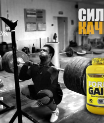 SteelPower Nutrition