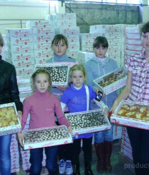 Ванюшкины Сладости