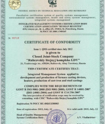 Рубцовский литейный комплекс ЛДВ