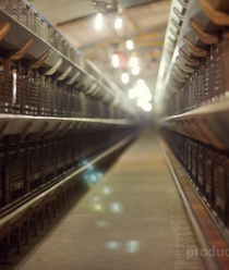 Птицефабрика Приморская