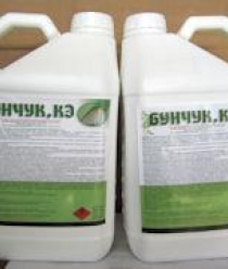 Лазорик-Дон