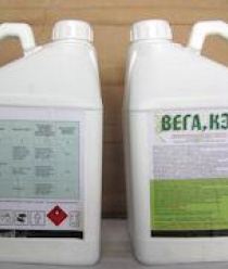 Лазорик-Дон