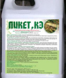 Лазорик-Дон