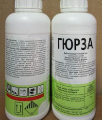 Лазорик-Дон