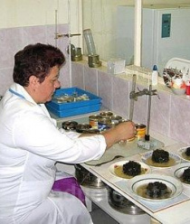 Русский рыбный мир