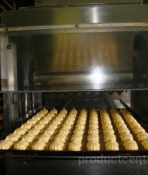 Звезды Севера