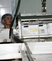 Меж-Компани