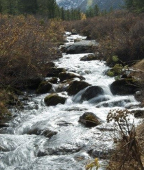 Компания Вкус Тайги