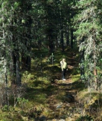 Компания Вкус Тайги