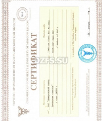 Дмитровский завод фрезерных станков (ДЗФС)