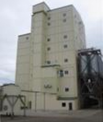 Алтайский бройлер