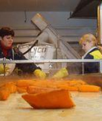 Белгородские Овощи