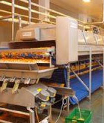 Белгородские Овощи