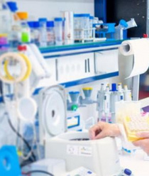 Фабрика Клея