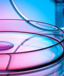 Фабрика Клея