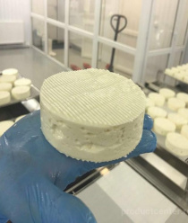 Краснолесская Сыроварня