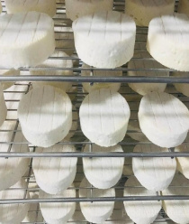 Краснолесская Сыроварня