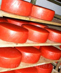 Пучежский сыродельный завод