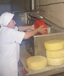 Пучежский сыродельный завод