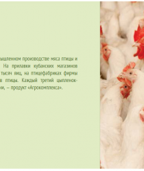 Агрокомплекс им. Н.И. Ткачёва