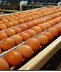 Новороссийск