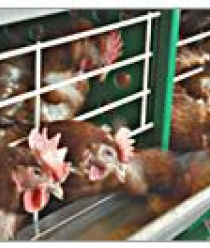 Новороссийск