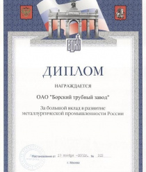 Борский трубный завод (БТЗ)